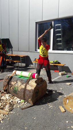 Forstwettbewerb 2017