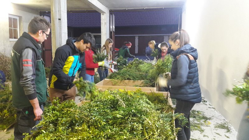 Palmbuschenaktion 2017